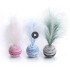 Cat Toy Star Ball Plus Feather EVA Material Light Foam Ball Throwing Funny Toy Star Texture Ball Feather Toy for Dog Cat Supplie Cat Toy Star Ball Plus Feather EVA Material Light Foam Ball Throwing Funny Toy Star Texture Ball Feather Toy for Dog Cat Supplie
