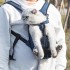 Pet Backpack Carrier for Cats Dogs Front Travel Bags Carrying for Animals Small Medium Dogs Puppies Chest Carrier Bags 87HA (Options:color stripes) Pet Backpack Carrier for Cats Dogs Front Travel Bags Carrying for Animals Small Medium Dogs Puppies Chest Carrier Bags 87HA (Options:color stripes)
