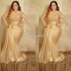 Plus Size Special Occasion Dresses