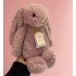 puppy bonnie rabbit Replica Birthday la bubu doll Stuffed Animals Jellys Cat gifts Cotton Charming Plush Jelly's Kitty Cozy Fuzzy Friend for