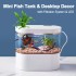 Aquariums Mini Desktop Aquarium Miniature Fish Tank with Biochemical Filtration System LED Small Aquatic Organisms Eco Box Home Decor 230414