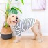 Dog Striped T-Shirt: Cool Breathable Cotton Vest for Medium/Large Dogs - Comfortable Pet Clothing