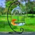 Display Mold Undeformable Practical Fine Workmanship Decorative Vase Fishbowl Hanging Fish Tank for Garden