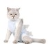 New cat spay/neuter recovery clothing Wound lick-resistant scratch resistant pet clothing Breathable cat clothing