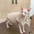 Plush winter cat clothes The same double-sided warm pet clothes as the German curly cat Sphinx