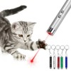 cats laser pointer