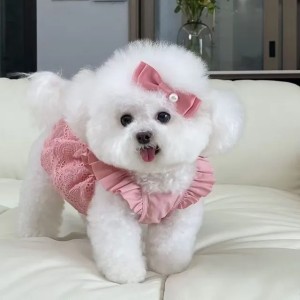 T1456 Dog Clothes Spring and Summer Thin Cat Princess Dress Red Dot Yellow Bear Traction Lolita Small Dog Teddy Pet (A5-1)