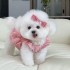 T1456 Dog Clothes Spring and Summer Thin Cat Princess Dress Red Dot Yellow Bear Traction Lolita Small Dog Teddy Pet (A5-1)