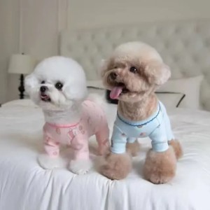 T1131 Versatile Seasonal Wardrobe Addition: Plushy Outerwear Ensemble (T1131) for Chihuahua-sized Pets