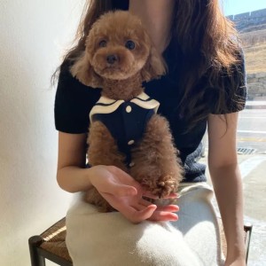 Dog Clothes Pet Cat Fur-proof Small Vest Clothing