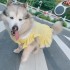 Dog Dress Summer Plaid Breathable Pet Clothes for Medium Large Dogs Outdoor Walking Supplies Puppy 250516 Dog Dress Summer Plaid Breathable Pet Clothes for Medium Large Dogs Outdoor Walking Supplies Puppy 250516