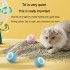 Electric Cat Toys Vibration Ball: 360° Rotating Automatic Kitten Chasing Toy with Laser Pointer, USB Rechargeable for Indoor Pet Play Electric Cat Toys Vibration Ball: 360° Rotating Automatic Kitten Chasing Toy with Laser Pointer, USB Rechargeable for Indoor Pet Play