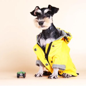 Dog Raincoat Windproof Coat with Hood - Warm Pet Waterproof Jacket for Small to Large Dogs