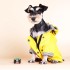 Dog Raincoat Windproof Coat with Hood - Warm Pet Waterproof Jacket for Small to Large Dogs Dog Raincoat Windproof Coat with Hood - Warm Pet Waterproof Jacket for Small to Large Dogs