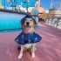 Waterproof Dog Raincoat: Lightweight Pet Rain Cape with Adjustable Straps for Small to Large Breeds (Default)