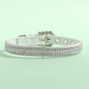 Adorable Designer Pet Collars with Unique Charm Perfect for Furry Friends (Picture shown)