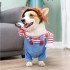Dog Halloween Costumes Funny Creative Pet Costume - Cat Dog Transformation Clothes for Parties, Photoshoots (Navy Blue)
