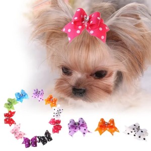 Pet Hair Bows: Bowpoint Head Flower Bows for Dogs - 2024 Collection (multi)