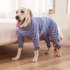 dog pajamas