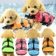 dog swimming clothes