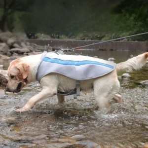 Dog Clothes Pet Cooling Clothes Pet Vests Suitable for Medium and Large Dogs Summer Clothes (Blue)