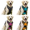 dog vest harnesses
