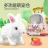 Multi-functional pet warehouse electric plush rabbit dog cat trendy toy blind box hand companion toys 040AC-41FL202532