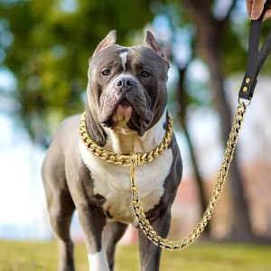 304 Dog Collars Leashes Stainless Steel Chain Collar Strong Metal Choke Silver Gold Pet Lead Rope For Party Show