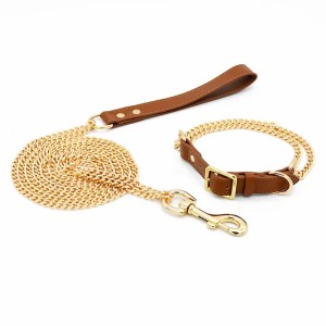 Gold stainless steel pet collar traction rope dog leash dog chain explosion-proof for medium and large dogs