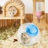 Hamster Exercise Ball: Small Pet Rolling Wheel for Indoor Play & Fitness - Non-Slip, Ventilated Design
