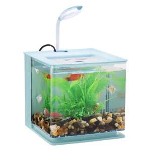 Smallest Fish Tank with Filter: Desktop Plastic Aquarium with Internal Filter, Mute Operation, and Decorative Ecological Design - Ideal for Home or Office