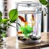 Desktop Self-Cleaning Fish Tank Transparent Small Goldfish Aquarium Mini Ecological Fish Tank Transparent Ecological Fish Tank 250613