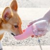 portable dog drinking bottle