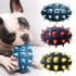 New TPR Pet Chewing Toys Indestructible Bite Resistant Squeaky Ball Pet Supply Fetch Ball Dog Toys New TPR Pet Chewing Toys Indestructible Bite Resistant Squeaky Ball Pet Supply Fetch Ball Dog Toys