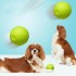 Dog Toy for Outdoor Play Dog Bite Toy Dog Training Ball for Dogs Durable Bite-resistant Pet Teething Toy Relieves Boredom Dog Toy for Outdoor Play Dog Bite Toy Dog Training Ball for Dogs Durable Bite-resistant Pet Teething Toy Relieves Boredom