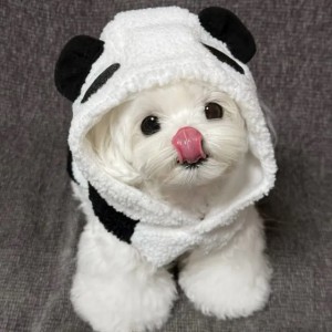Pet Autumn and Winter Panda Baby Coat Hooded Plush Sweatshirt Teddy Bear Panda with Plush Vest Clothing Dog Jacket Puppy (Default)