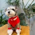 Designer Dog Pet Clothes Small Dog clothes Pomeranian Teddy Sherry dog clothes Designer Dog Pet Clothes Small Dog clothes Pomeranian Teddy Sherry dog clothes