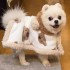 Pet Coat Bear Cape Warm Dog Quilt Pet Blanket Cape Blanket Schnauzer Corgi Cat Coat Dog Clothes 240929 Pet Coat Bear Cape Warm Dog Quilt Pet Blanket Cape Blanket Schnauzer Corgi Cat Coat Dog Clothes 240929