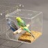 Bird Feeder Large Capacity Transparent Hanging Bird Food Feeder Box for Parakeets Parrots Cockatiels