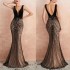 Sexy Backless Women Evening Dress V Neck Sleeveless Floor Length Lace Appliqued Formal Occasion Dress Party Gowns Customized Sexy Backless Women Evening Dress V Neck Sleeveless Floor Length Lace Appliqued Formal Occasion Dress Party Gowns Customized
