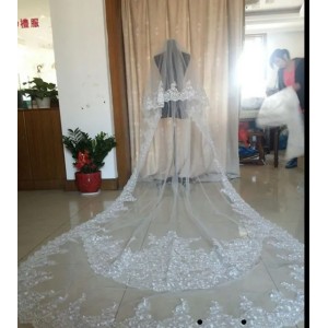 Buyers' PicksBest Selling Luxury Real Image Bridal Veils Wedding Veil Three Meters Long Veils Lace Shining Applique Sequin Crystals Two Layers Cathedral Length