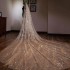 Luxury 2019 Champagne Gold 3 Meters Long Wedding Veil Sequin Bridal Veils One Layer Cut Edge Sparkling Veil With Comb Luxury 2019 Champagne Gold 3 Meters Long Wedding Veil Sequin Bridal Veils One Layer Cut Edge Sparkling Veil With Comb