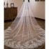 Special Links for veils Floral Bridal Veils Long White Ivory Champagne Wedding Veils with Combs Tulle and Lace Appliques New Hot Special Links for veils Floral Bridal Veils Long White Ivory Champagne Wedding Veils with Combs Tulle and Lace Appliques New Hot