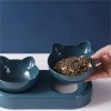 Cat Bowls Feeders