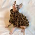Sphynx Cat Clothes Winter Velvet Warm Soft 2- Layers Winter Jacket Thickened Hairless Cat Coat for Sphynx, Cornish Rex, Devon Rex, Peterbald Cat Clothes XXL Sphynx Cat Clothes Winter Velvet Warm Soft 2- Layers Winter Jacket Thickened Hairless Cat Coat for Sphynx, Cornish Rex, Devon Rex, Peterbald Cat Clothes XXL