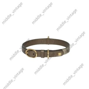 Designer Pet Collar Dog Collar Traction Small And Medium Pet Neck Puppy Collar Fashion Versatile Dog Supplies (Green)