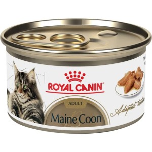 Royal Canin Feline Breed Nutrition Maine Coon Adult Thin Slices in Gravy Wet Cat Food, 3-oz can, case of 24
