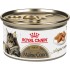 Royal Canin Feline Breed Nutrition Maine Coon Adult Thin Slices in Gravy Wet Cat Food, 3-oz can, case of 24
