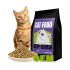 Suppliers directly ship affordable dry cat food with high value nutrients 2kg food cat