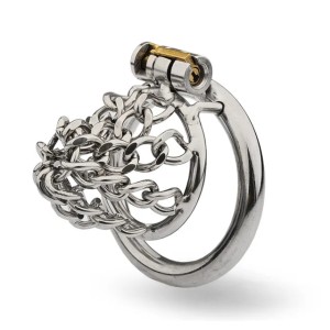 Chastity Cage Penis Ring Anti-off Ring Sex Toys For Men Hollow Cock Cage With Chain